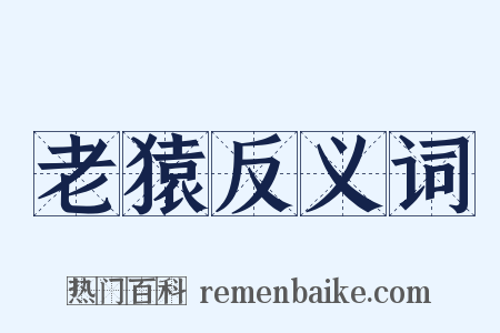 老猿反义词是什么意思的图片
